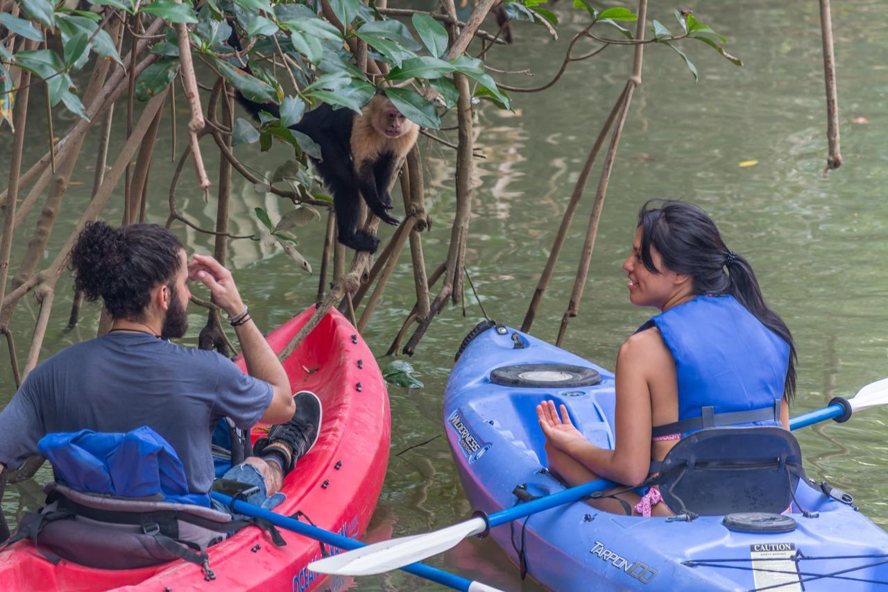 Kayak Lodge Damas ภายนอก รูปภาพ