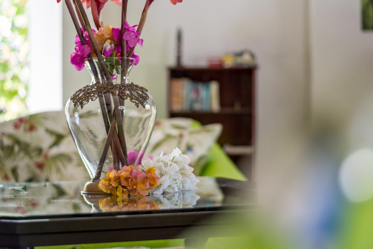 Kayak Lodge Damas ภายนอก รูปภาพ